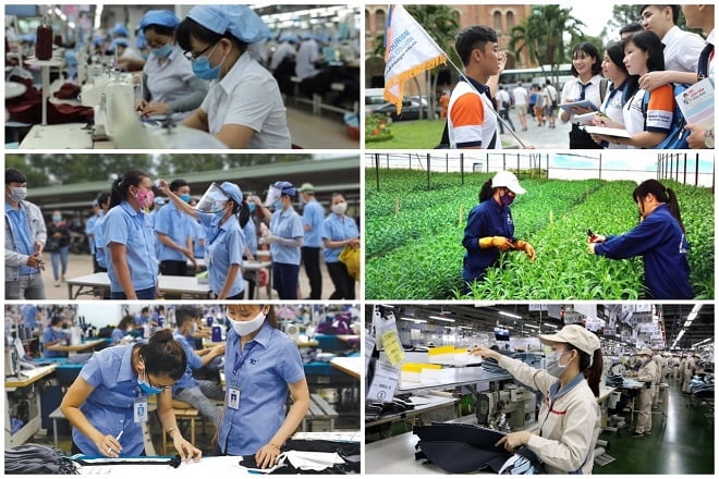 Trình tự, thủ tục để nhận hỗ trợ tiền thuê nhà cho người lao động.