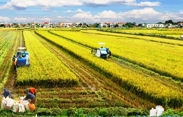 Trường hợp nào không phải làm thủ tục gia hạn sử dụng đất?.