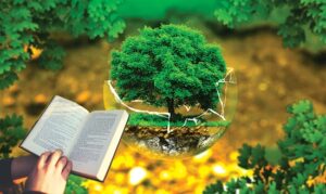 Nhiệm vụ, quyền hạn của Lực lượng chuyên trách bảo vệ rừng.