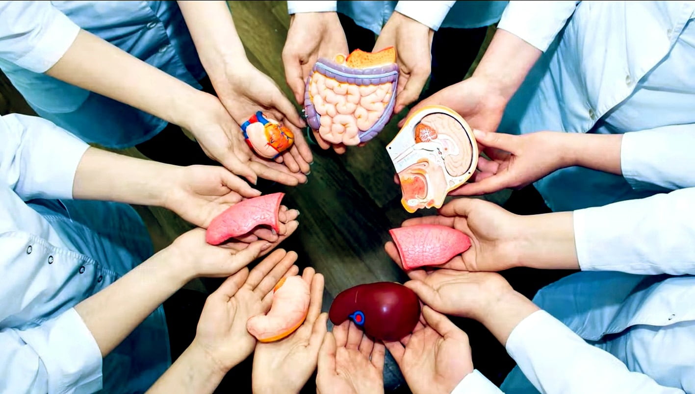 bao nhiêu tuổi được đăng ký hiến tạng.