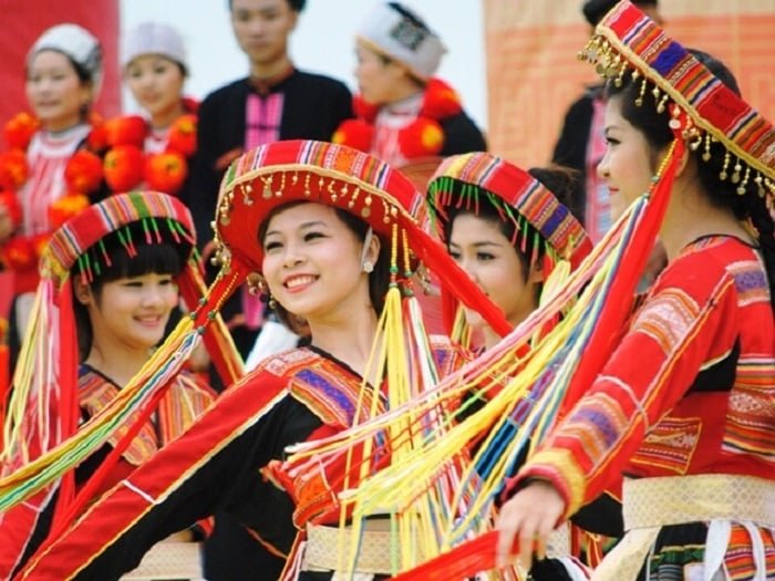 ma-ngach-vien-chuc-nganh-van-hoa.jpeg