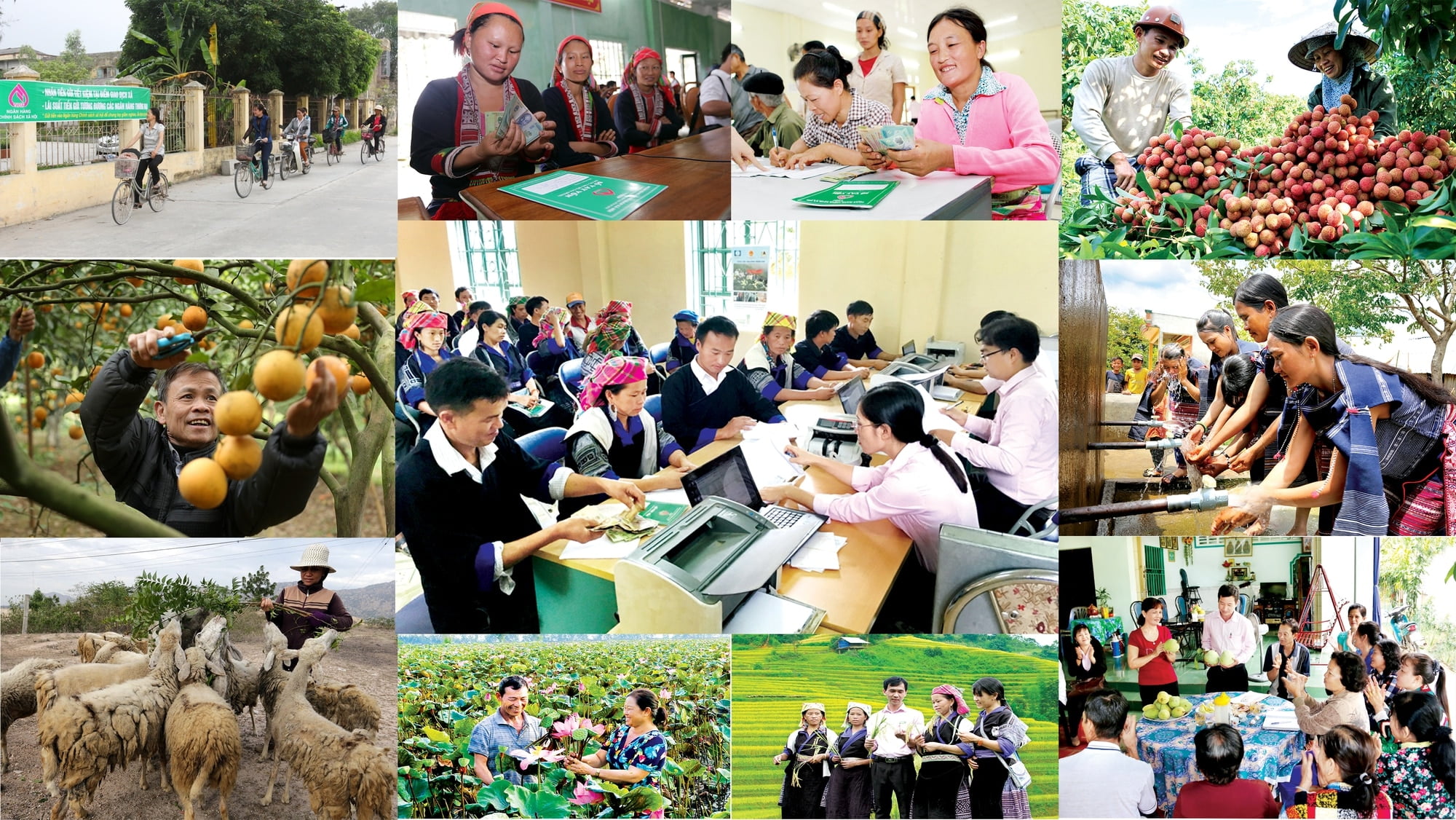 Các câu hỏi phổ biến về luật an sinh xã hội [Cập nhật chi tiết].