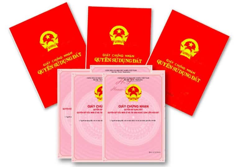 so-hong-la-gi-so-do-la-gi.jpg