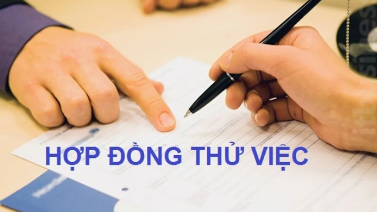 Ký hợp đồng thử việc 3 tháng có vi phạm luật lao động? [2023].