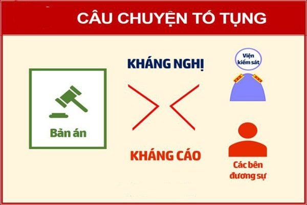 khang-nghi-khang-cao-600x400.jpg