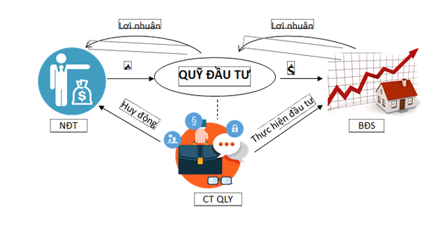 Quỹ ủy thác đầu tư tiếng anh là gì ? Đặc điểm và mô hình hoạt động.