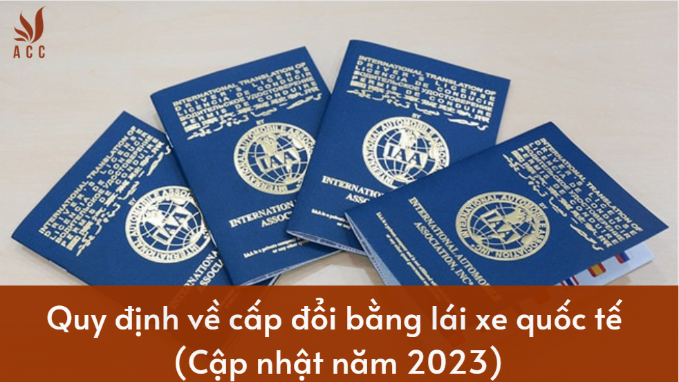 1689221196_Quy-dinh-ve-cap-doi-bang-lai-xe-quoc-te.png