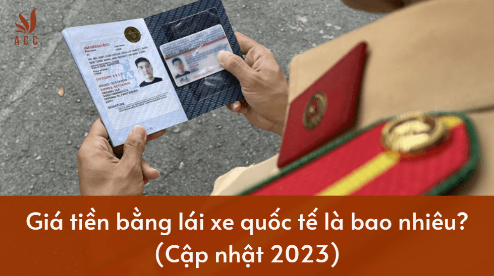 1689221593_Gia-tien-bang-lai-xe-quoc-te-la-bao-nhieu.png