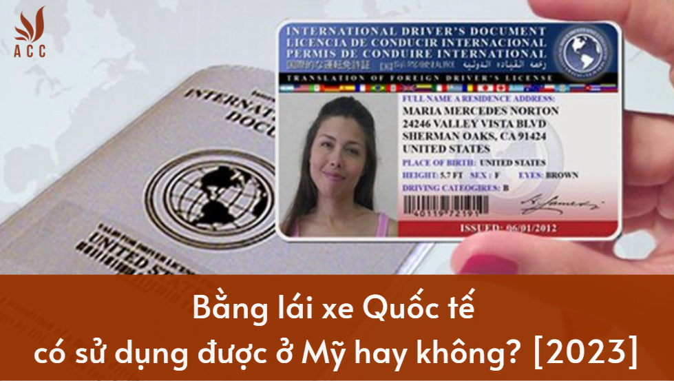 Bang-lai-xe-quoc-te-co-su-dung-duoc-o-My-hay-khong-1.png
