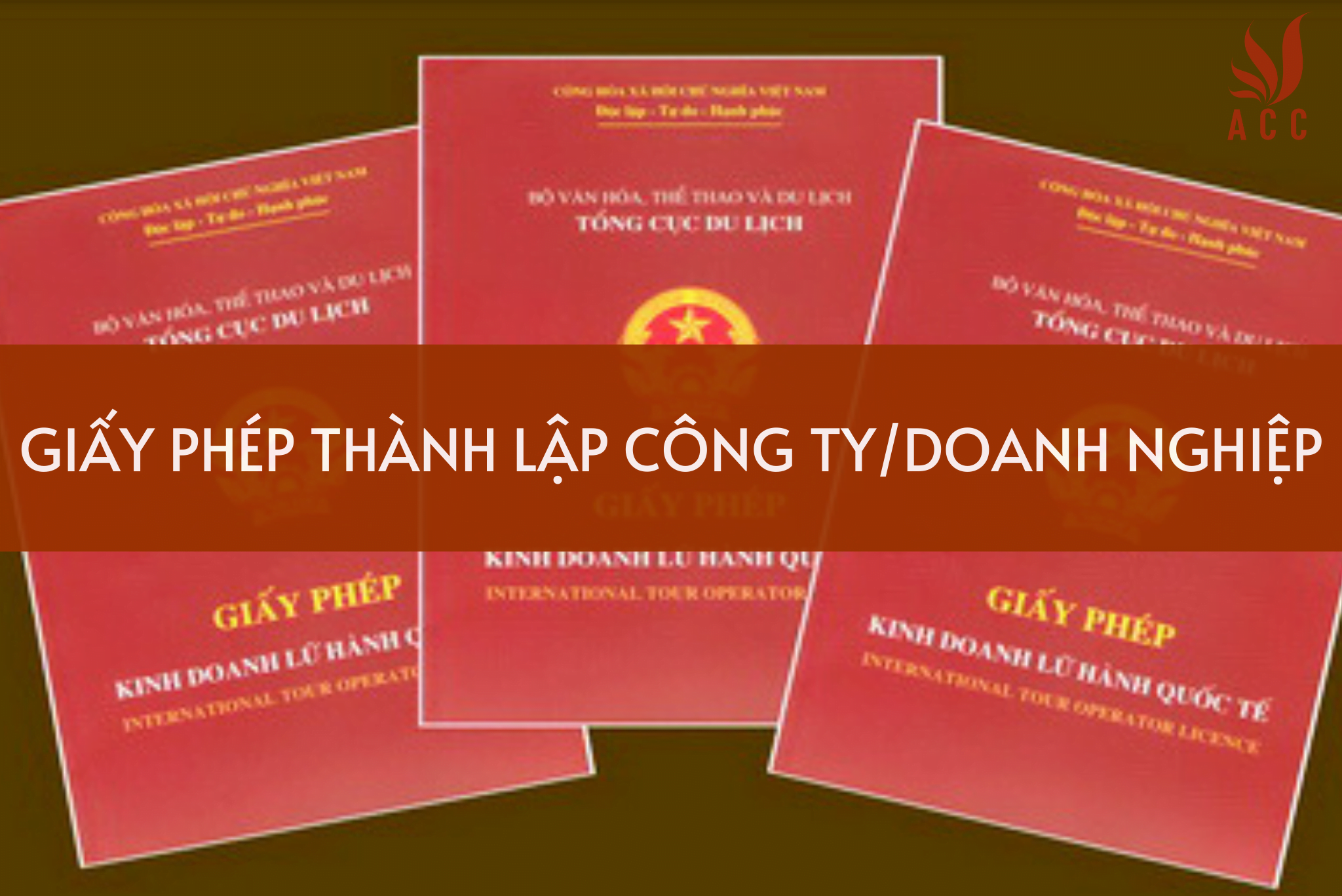Giay-phep-thanh-lap-cong-ty-la-gi-Nhung-dieu.png