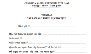 yeu-cau-cap-ban-sao-trich-luc-giay-khai-sinh-e1547543406489-300x177.png