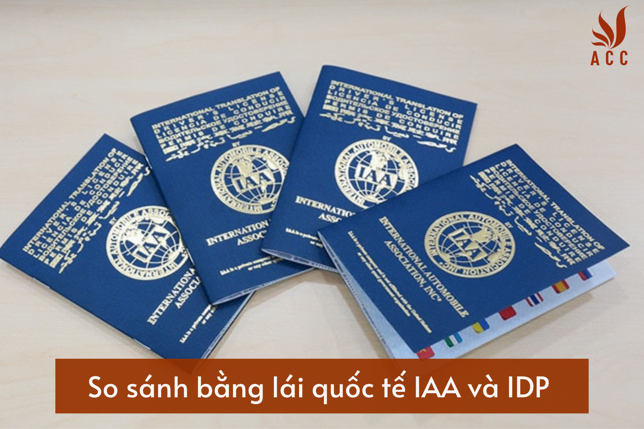 So sánh bằng lái quốc tế IAA và IDP (Cập nhật mới nhất 2023).