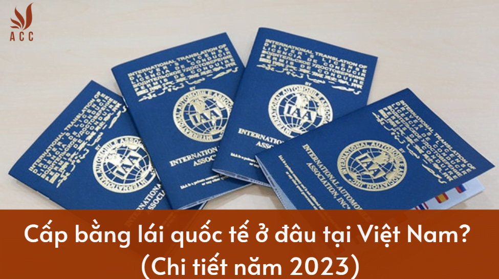 Cấp bằng lái quốc tế ở đâu tại Việt Nam? (Chi tiết năm 2023).