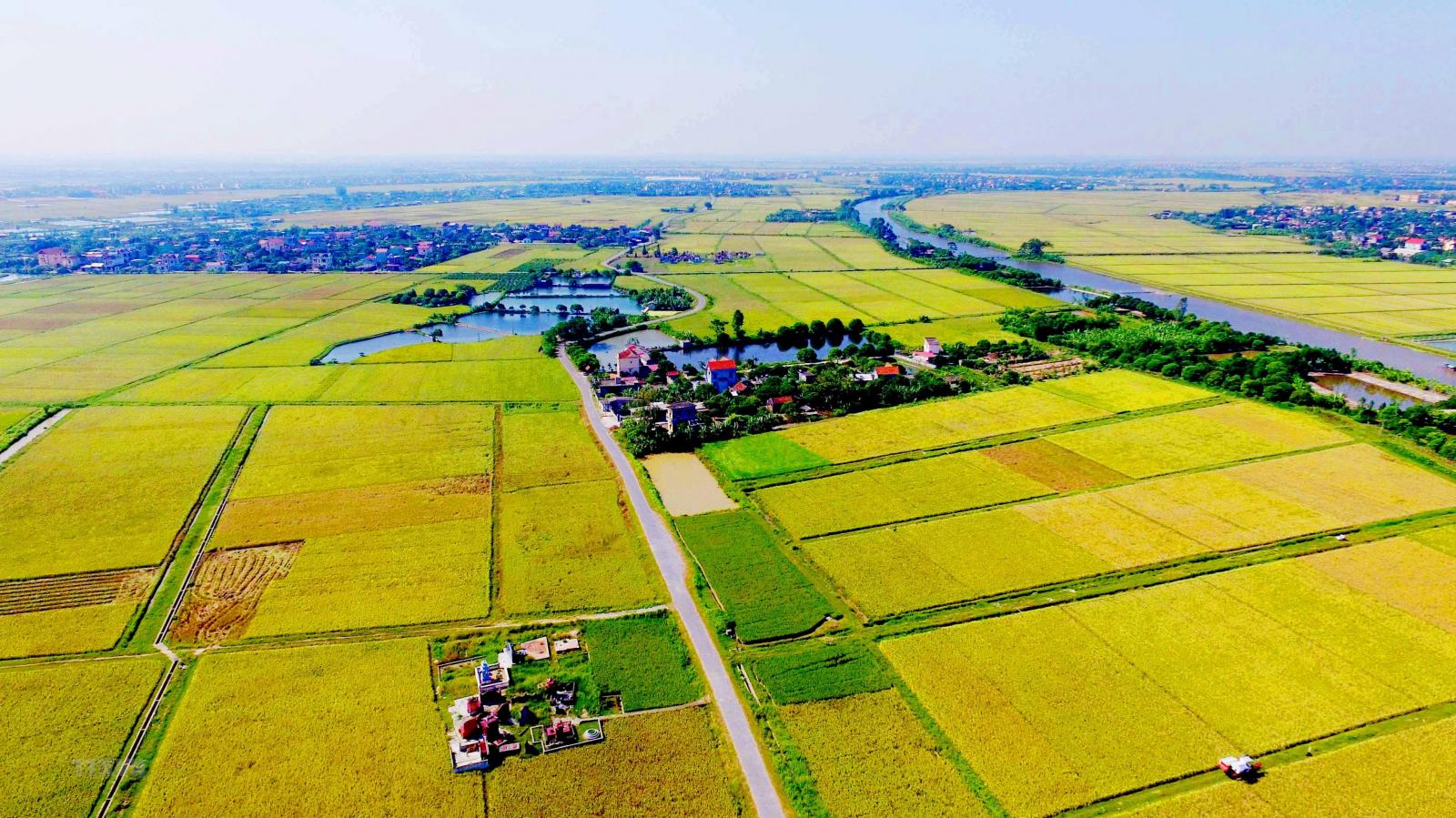 Quy-dinh-tach-thua-dat-nong-nghiep-tai-Binh-Thuan.jpg