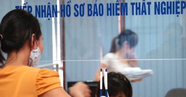bao-hiem-that-nghiep-5-16334231273591419468571-0-0-437-700-crop-1639918708995190915513-1.jpeg