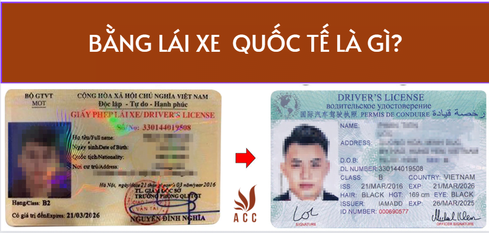 1689227162_Doi-bang-lai-xe-quoc-te-can-nhung-gi-Cap.png