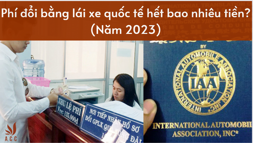 1689229775_Phi-doi-bang-lai-xe-quoc-te-het-bao-nhieu.png
