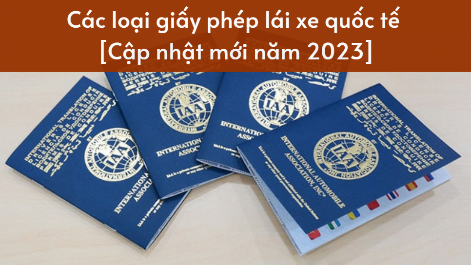 1689230312_Cac-loai-giay-phep-lai-xe-quoc-te-Cap-nhat.png