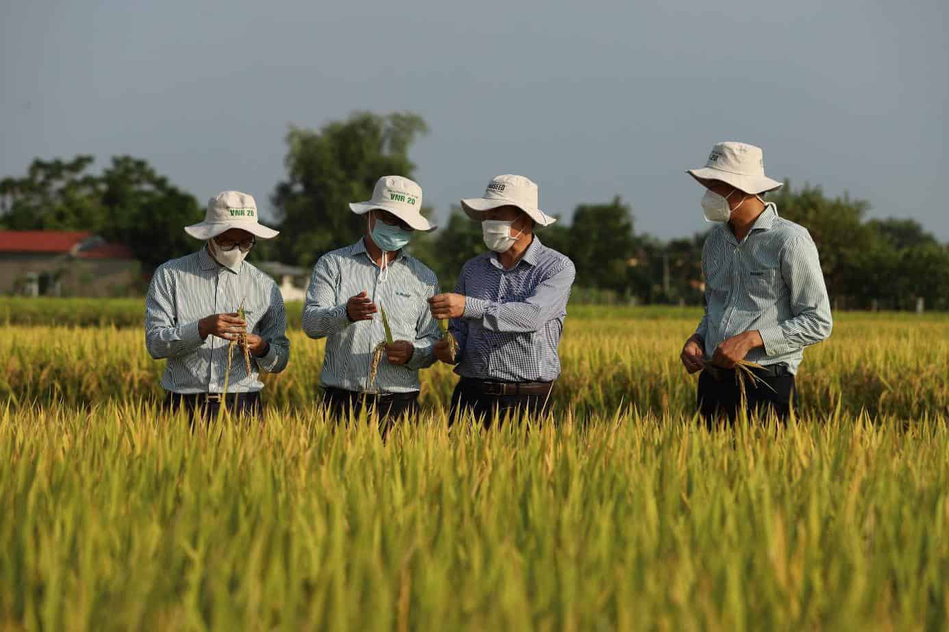 bao-hiem-that-nghiep-tai-huyen-phu-xuyen.jpg