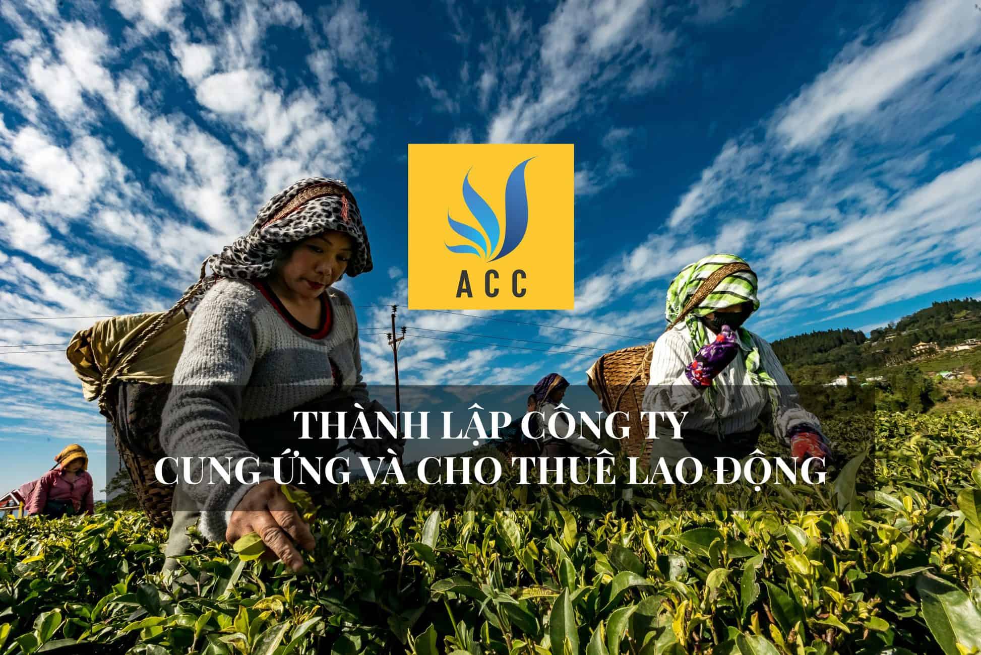 thanh-lap-cong-ty-cung-ung-cho-thue-lao-dong-scaled.jpg