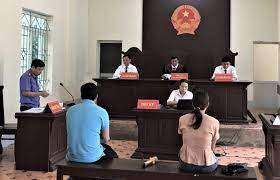 Cac-Nguyen-Tac-Co-Ban-Cua-Luat-To-Tung-Dan-Su-Viet-Nam.jpg