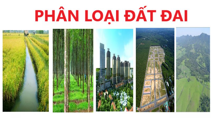 Phan-loai-dat-dai-1663908358535.jpg