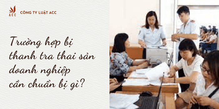 Trường hợp bị thanh tra thai sản doanh nghiệp cần chuẩn bị gì?.