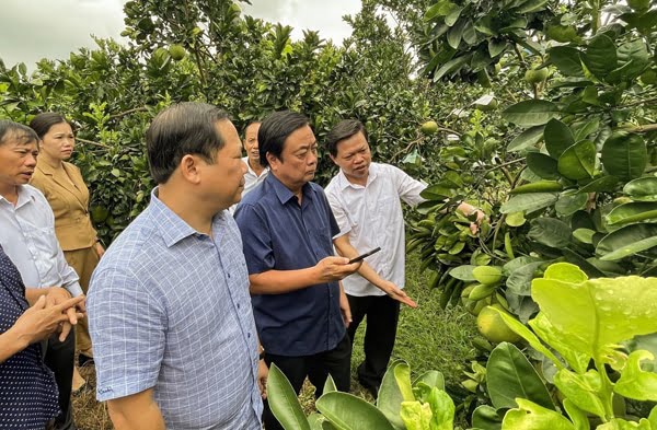 Tìm hiểu về Vụ tổ chức cán bộ Bộ Nông nghiệp.