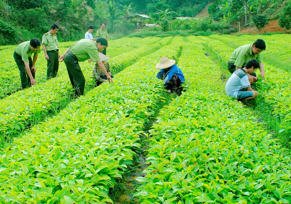 Thanh-tra-Bo-Nong-nghiep-va-Phat-trien-nong-thon-nhiem-vu-la-gi.jpg