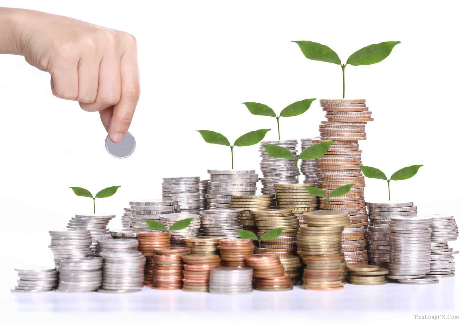 Cập nhật chi tiết về nghiệp vụ ủy thác đầu tư của ngân hàng mới nhất.