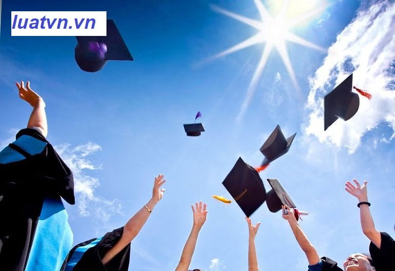 Thành lập trung tâm tư vấn du học Quận 1.