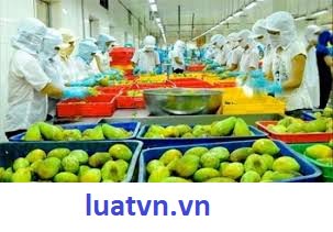 Danh mục sản phẩm phải tự công bố sản phẩm.