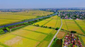 Điều kiện, hồ sơ và thủ tục thực hiện dồn điền đổi thửa 2021.