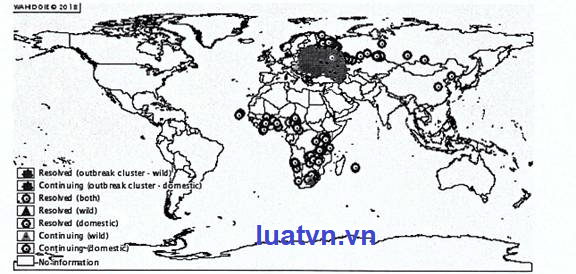 Công văn 2053/TY-DT năm 2018.
