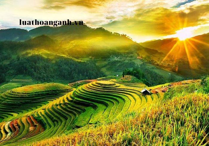 Dịch vụ khởi kiện dân sự tại huyện Văn Yên.