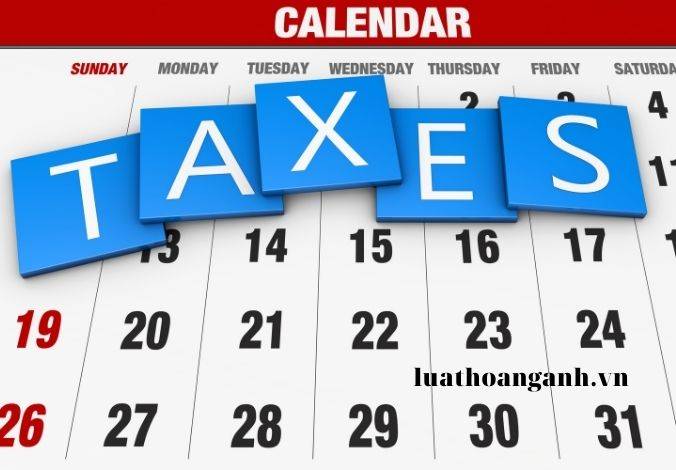 Dịch vụ tư vấn thuế cho doanh nghiệp.