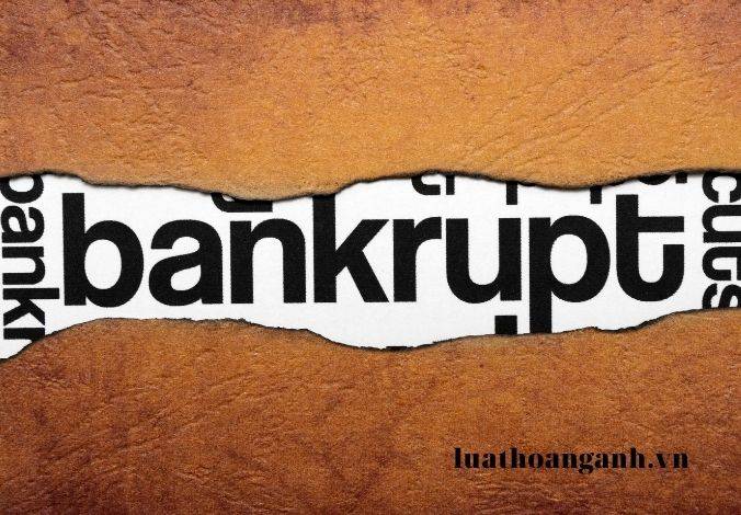 Dịch vụ tư vấn về phá sản doanh nghiệp.