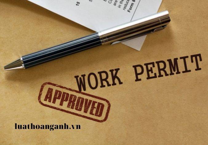 Dịch vụ tư vấn xin giấy phép con.
