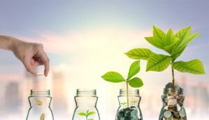 Quy định pháp luật về hỗ trợ đầu tư năm 2023.