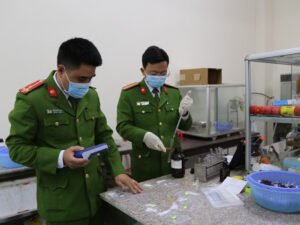 Ai có quyền yêu cầu trưng cầu giám định trong tố tụng hình sự?.