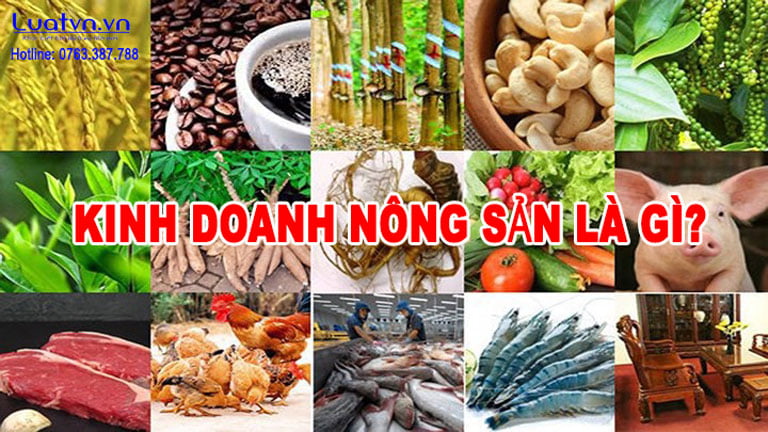Kinh doanh nông sản là gì? Có cần giấy phép ATVSTP hay không?.