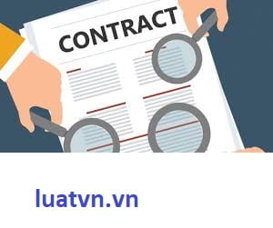 Mẫu hợp đồng thử việc.