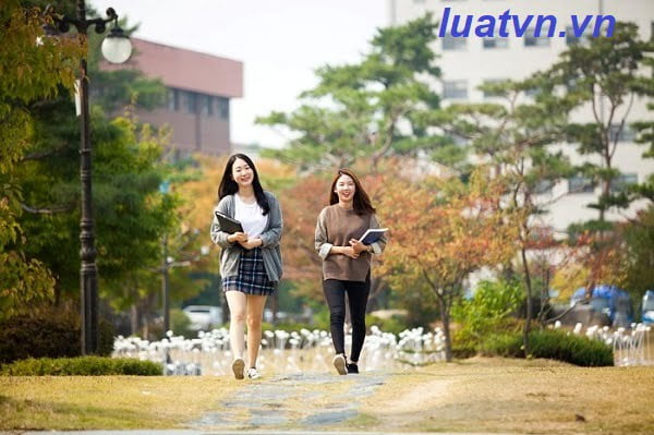 Thành lập trung tâm tư vấn du học Quận Bình Tân.