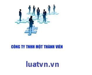 Người đại diện theo pháp luật của công ty TNHH 1 thành viên..