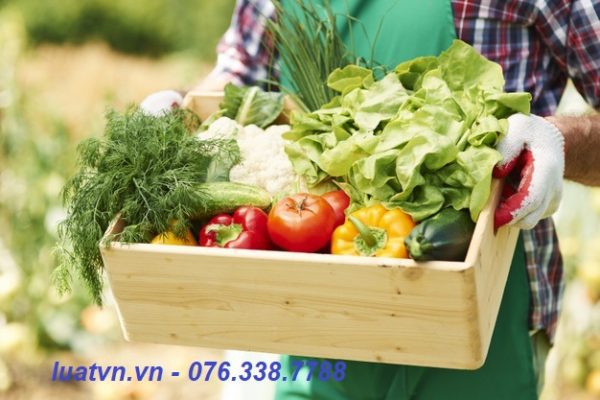 Sơ chế thực phẩm đảm bảo vệ sinh ATTP là gì?.