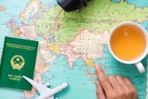 Thủ tục thôi quốc tịch Việt Nam ở trong nước năm 2022.