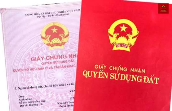 CÀ MAU: Khởi tố cụ 79 tuổi tội trốn thuế, chuyển nhượng giá 20 tỷ nhưng khai 5 tỷ CÀ MAU: Khởi tố cụ 79 tuổi tội trốn thuế, chuyển nhượng giá 20 tỷ nhưng khai 5 tỷ