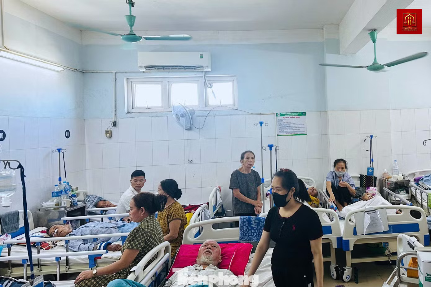 Hệ Thống Luật tư vấn pháp luật về kinh doanh dược phẩm Hệ Thống Luật tư vấn pháp luật về kinh doanh dược phẩm