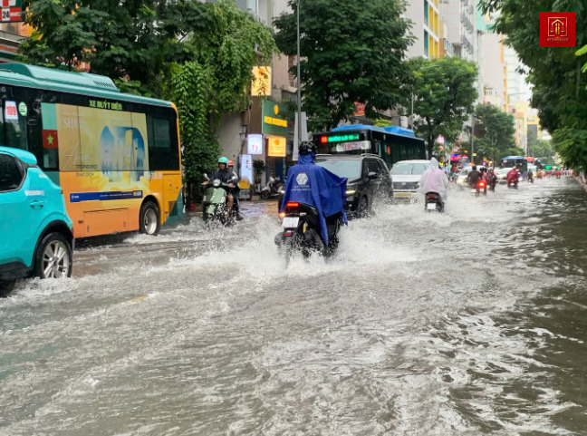 Hệ Thống Luật tư vấn ứng phó thiên tai tại TPHCM Hệ Thống Luật tư vấn ứng phó thiên tai tại TPHCM