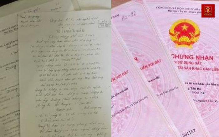 Khởi tố nguyên cán bộ thôn vì sai phạm trong quản lý đất đai Khởi tố nguyên cán bộ thôn vì sai phạm trong quản lý đất đai
